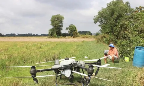 Đà Nẵng quyết 'dẹp' thiết bị bay không người lái trái phép