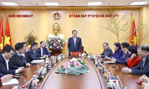 Chủ tịch Quốc hội Trần Thanh Mẫn giao nhiệm vụ cho các ủy ban của Quốc hội