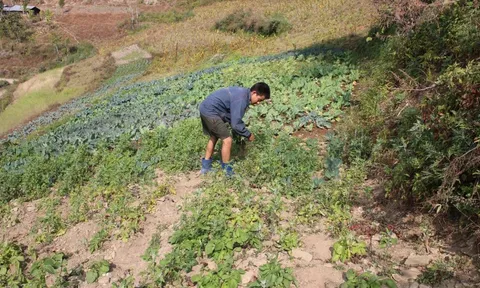 Từ lương 1,9 tỷ đồng/năm xuống còn 22 triệu đồng/tháng: Người đàn ông có học vị tiến sĩ nói mình mới là "kẻ chiến thắng" thực sự