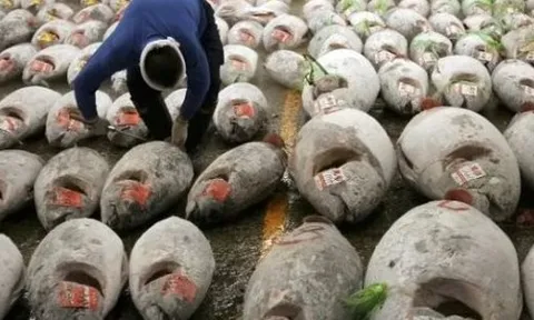 Việt Nam đón tin vui từ Mỹ