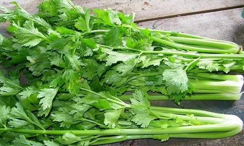 5 loại rau mà tế bào ung thư sợ nhất, nhất là ung thư phổi, ung thư vú và ung thư đại trực tràng