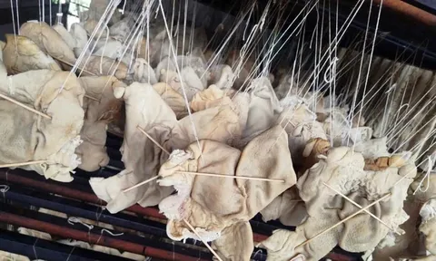 Hơn 55 tấn lòng, dạ dày và chân gà không rõ nguồn gốc trong kho doanh nghiệp ở Hải Phòng