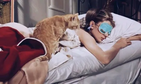 Bí quyết "hack tuổi" của giới siêu giàu: Mặc đồ ngủ gốm sinh học nuôi mộng trường sinh bất lão