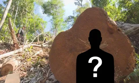 Ra lệnh bắt tạm giam Giám đốc công ty Nguyễn Văn Tiến