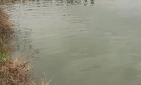 Phát hiện thai phụ cùng con gái 4 tuổi tử vong dưới hồ nước