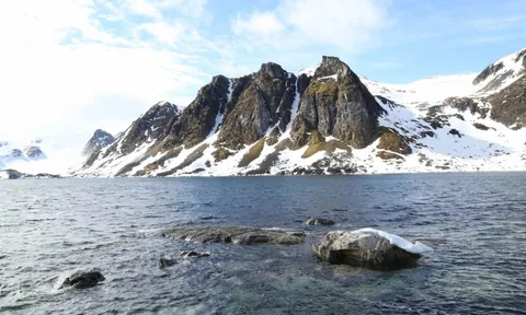 Vòng Bắc Cực chạm ngưỡng 30 độ C, 2026 sẽ là năm nóng nhất lịch sử?