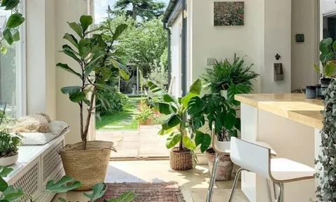 Ông bà nói: "Vận đến không ồn ào, nhưng sẽ có điềm báo" - 6 dấu hiệu cho biết nhà bạn có lộc trời ban