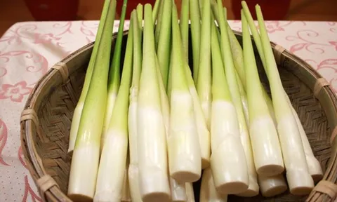 5 loại rau quen thuộc là “ổ chứa ký sinh trùng”: Mắt thường không thấy, nhiều người vẫn vô tư ăn sống