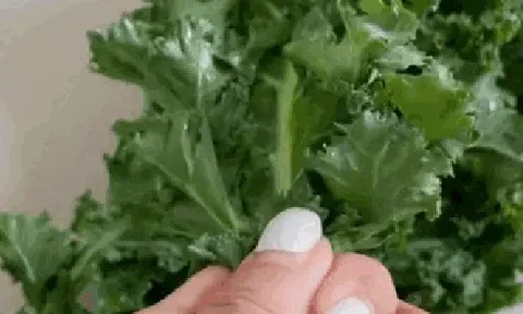 "Vua rau xanh" bán đầy chợ Việt, giàu chất xơ, càng ăn da càng đẹp, chị em đua nhau mua