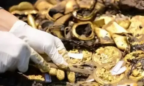 Đào sâu phát hiện hơn 13,4 kg vàng và 166,5 kg bạc, công trường xây dựng lập tức bị phong tỏa