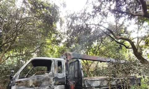 Hà Nội: Xe tải cẩu cây vướng dây điện, tài xế tử vong