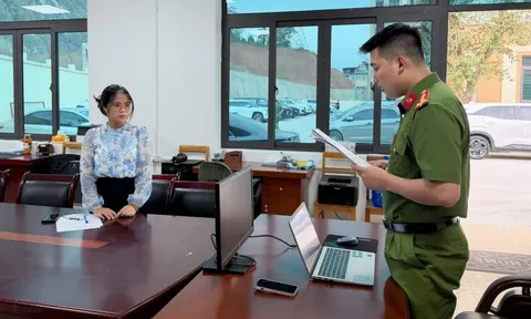 Khởi tố nữ giám đốc Nguyễn Thị Thanh Hiên