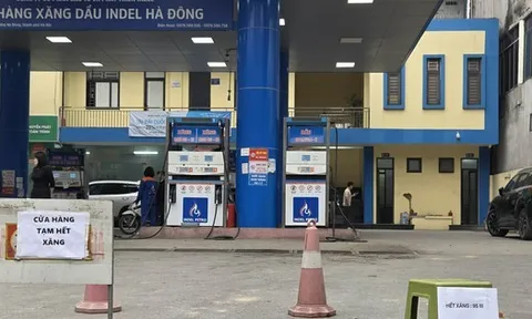 Một công ty treo biển hết xăng, thua lỗ muốn ngừng kinh doanh