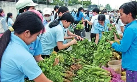 Từ năm 2028, mức sống tối thiểu của người lao động được công bố hằng năm