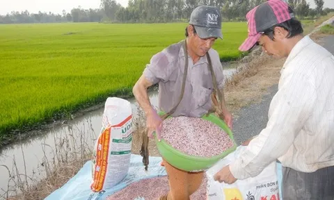 Xung đột Trung Đông khiến giá phân bón tăng mạnh, có tác động tới Việt Nam?