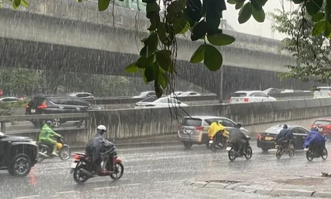 Tin gió mùa đông bắc mới nhất: Ngày mai, miền Bắc xuất hiện mưa rào