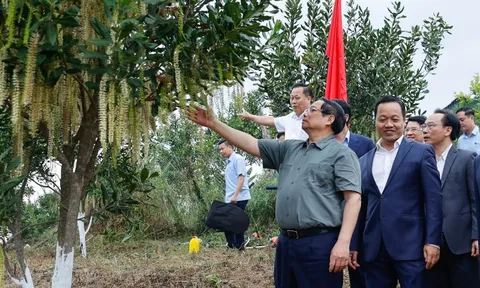 Thủ tướng Phạm Minh Chính: Cần biến núi rừng Tây Bắc trùng điệp thành của cải vật chất
