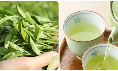 Thời điểm uống nước trà xanh tốt nhất cho sức khỏe