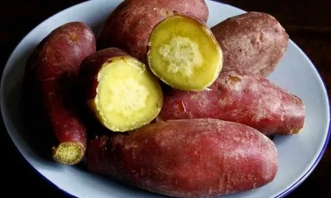 Ít ai ngờ khoai lang hấp lại tốt đến vậy: 5 lợi ích khiến món ăn này trở thành “chân ái” của nhiều người