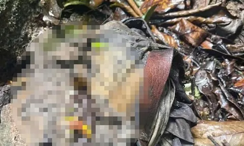 Phát hiện bộ xương người trong bìa rừng ở Măng Đen