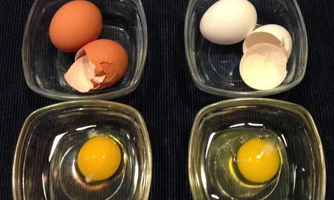 Trứng vỏ trắng hay vỏ nâu tốt hơn? Đáp án khiến nhiều người bất ngờ