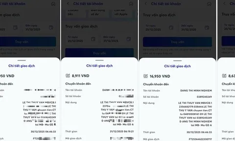 Một phụ nữ lừa đảo chiếm đoạt tài sản với thủ đoạn hiếm thấy