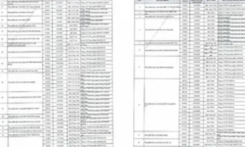 Danh sách chi tiết 742 thực phẩm chức năng vừa bị thu hồi trên toàn quốc, trong đó có nhiều sản phẩm dành cho trẻ em