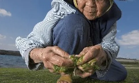 Bí quyết "bình dị đến không tưởng" của ngôi làng trường thọ: Không thể dục, ăn kiêng vẫn sống trăm tuổi