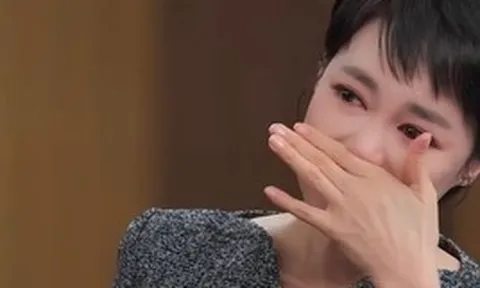 Nữ diễn viên mất 18 tỷ ly hôn doanh nhân vì tiểu tam nhà đối diện: Bị chồng đánh xuất huyết não để bảo vệ nhân tình