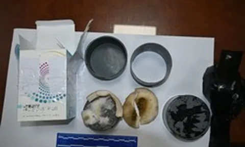 Có người rao bán "thiên thạch, đá hiếm" giá triệu USD, công an ứng dụng công nghệ cao vào cuộc