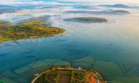 “Ông lớn” xây dựng Trung Quốc cùng Vingroup xây cầu Tứ Liên muốn đầu tư ít nhất 3,5 tỷ USD vào một tỉnh miền Trung có diện tích rộng thứ 3 cả nước