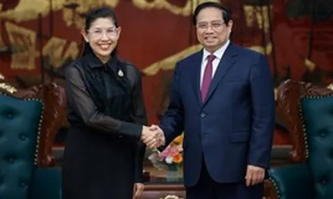 Gặp Đại sứ Thái Lan, Thủ tướng đề nghị nước này đảm bảo cung ứng nhiên liệu cho 1 lĩnh vực của Việt Nam