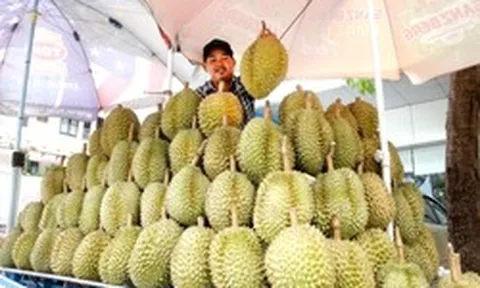 Đua với sầu riêng Việt Nam, Thái Lan ra nước cờ mới thông qua Lào