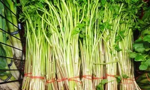 Cảnh báo: Một số thực phẩm hàng ngày tiềm ẩn ký sinh trùng, đừng ăn quá nhiều