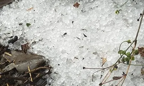 Mưa đá, giông lốc "càn quét" miền Bắc: Hàng trăm nhà tốc mái, hoa màu tan hoang