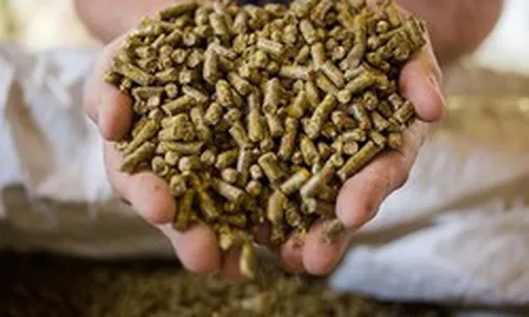 'Mỏ vàng' 250 triệu USD: Loại mặt hàng 'phụ phẩm' của Việt Nam đang được Trung Quốc săn đón ráo riết