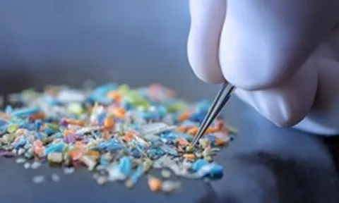 Món ăn quen thuộc này của người Việt có thể giúp “quét” vi nhựa khỏi cơ thể? Phát hiện mới từ giới khoa học gây chú ý