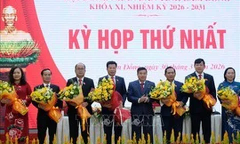 Quảng Ngãi, Lâm Đồng, Gia Lai kiện toàn các chức danh chủ chốt