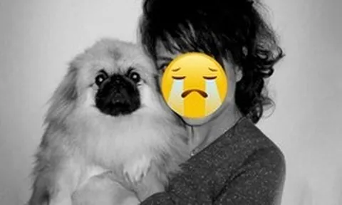 Nữ diễn viên 2 năm trước ngã chấn thương sọ não, nay đột ngột qua đời vì biến chứng viêm phổi