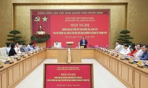 Thông qua Báo cáo kiểm tra, giám sát của Bộ Chính trị, Ban Bí thư đối với Ban Thường vụ Đảng ủy Chính phủ