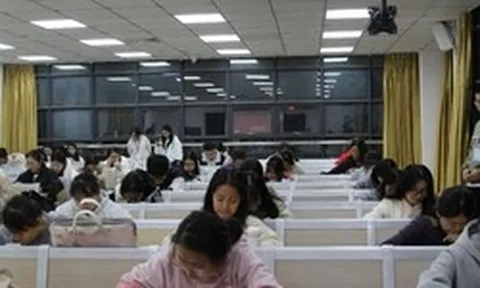 Lối thoát cho sinh viên ngành Ngôn ngữ: Mô hình "Ngoại ngữ + X" và 3 kỹ năng để không bị AI thay thế