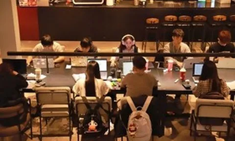 Việt Nam có 1,6 triệu thanh niên "3 không"