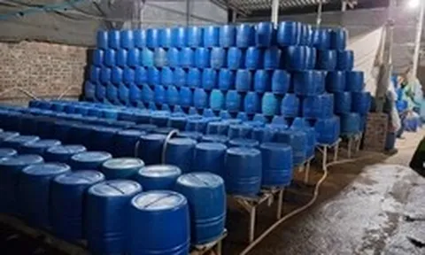 Dùng chất độc có thể gây chết người để sản xuất hơn 500 tấn giá đỗ