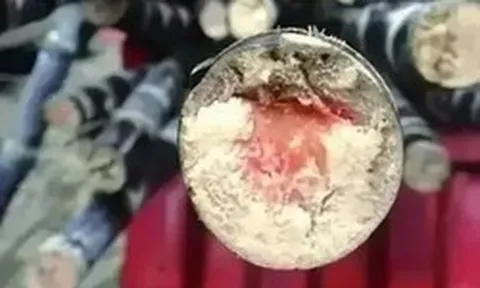 Loại thức ăn này độc hơn cả rắn vào dịp Tết Thanh Minh!