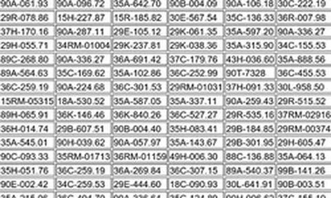 317 chủ xe máy, ô tô có biển số sau nhanh chóng nộp phạt nguội theo Nghị định 168