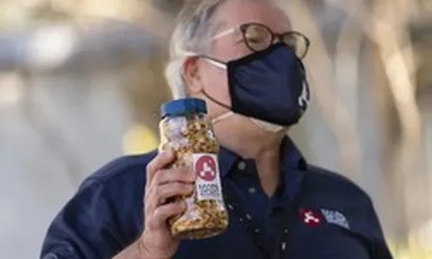 'Hạt đậu may mắn': Biểu tượng niềm tin kỳ lạ tại NASA