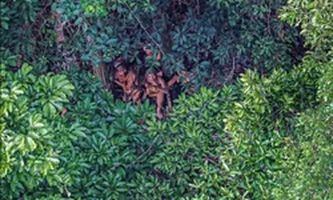 Bộ tộc biệt lập nhất ở Amazon khiến thế giới ngỡ ngàng với hình ảnh người trẻ dùng smartphone nhoay nhoáy