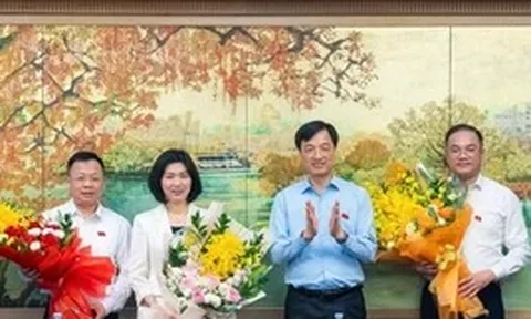 Hà Nội bầu Phó Trưởng đoàn ĐBQH và đại biểu chuyên trách