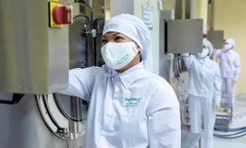 Traphaco đặt kế hoạch 306 tỷ lợi nhuận sau thuế trong năm 2026, tăng 10%