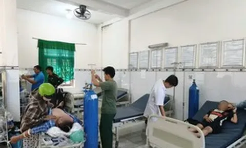 Ba người bị ong đốt khi đi tảo mộ, phải cấp cứu khẩn